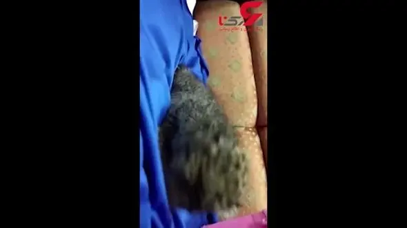 کشف توله پلنگ کمیاب در چمدان یک مسافر فرودگاه +فیلم