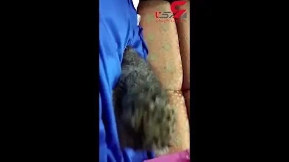 کشف توله پلنگ کمیاب در چمدان یک مسافر فرودگاه +فیلم