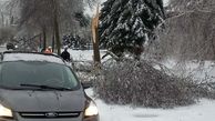 طوفان مرگبار یخ در کانادا جان 2 نفر را گرفت