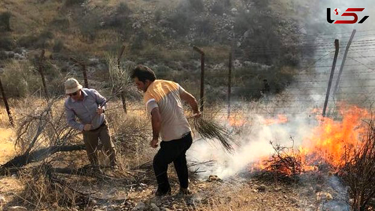 مهار آتش سوزی گسترده اراضی فیروزکوه