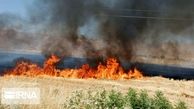 آتش 10 ۱۰ هکتار از مراتع گیلانغرب را سوزاند