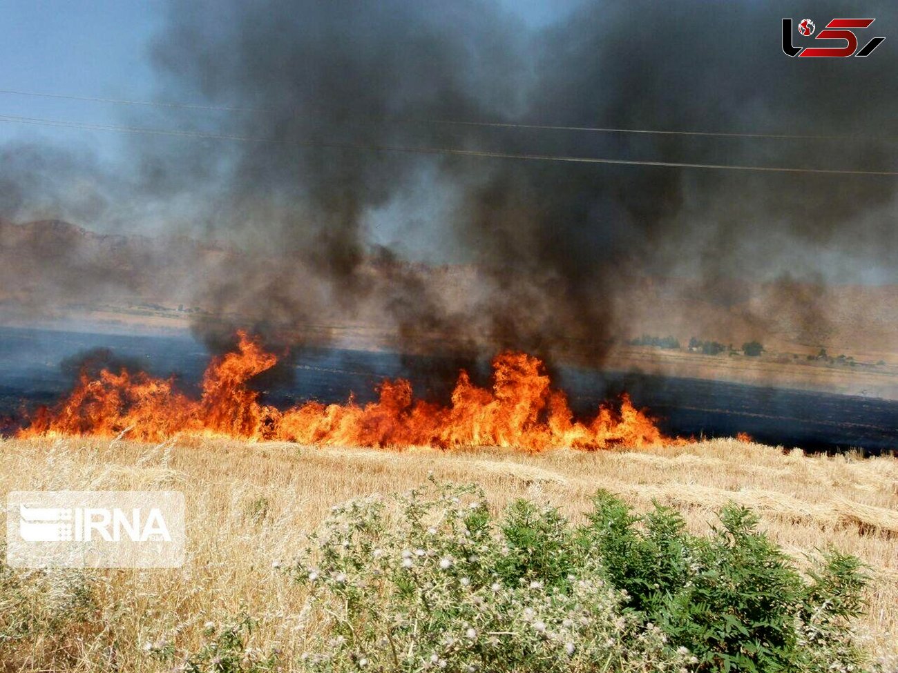 آتش 10 ۱۰ هکتار از مراتع گیلانغرب را سوزاند