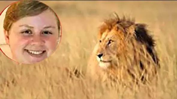 شیر گرسنه زن نگون بخت را زنده زنده خورد+ عکس