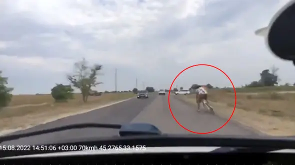 فیلم خوش شانسی برای راننده ماشین و جوان دوچرخه سوار / سایه مرگ را حس کردند!