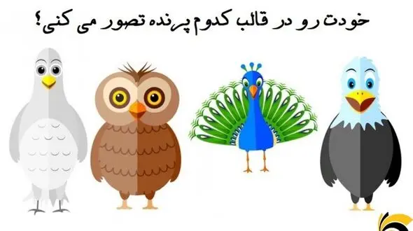 تست : خودت رو در قالب کدام پرنده تصور می کنی ؟