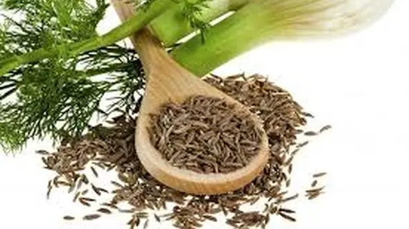 موهای زائد را با خوردن این گیاه شگفت انگیز کاهش دهید