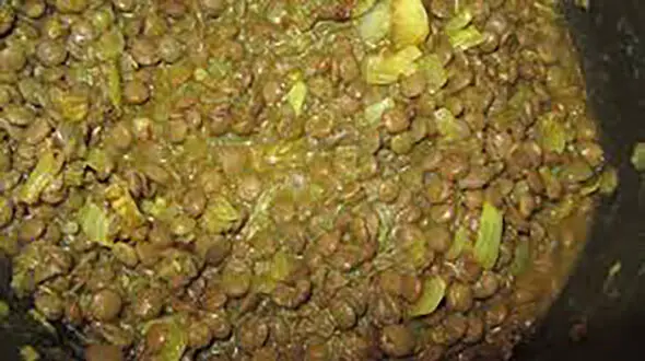 صبحانه امروز عدسی بخورید 