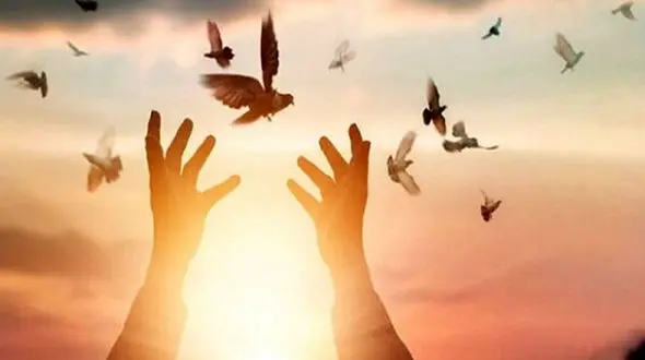 ۱۳۰ پرونده قتل عمد به صلح و سازش ختم شد!