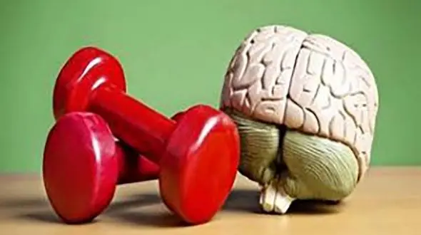 خشکی مغز چیست؟