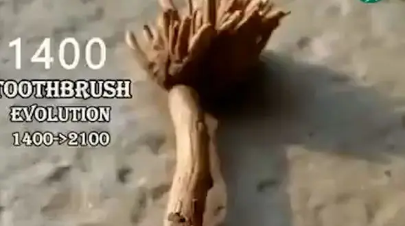 ۵۰۰۰ سال تحول؛ مسواک از دوران باستان تا عصر دیجیتال + فیلم