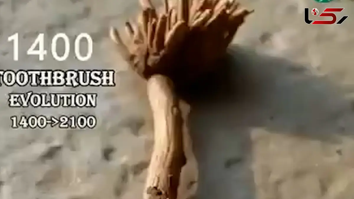 ۵۰۰۰ سال تحول؛ مسواک از دوران باستان تا عصر دیجیتال + فیلم