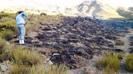 مهار آتش سوزی در مراتع سرچشمه رفسنجان