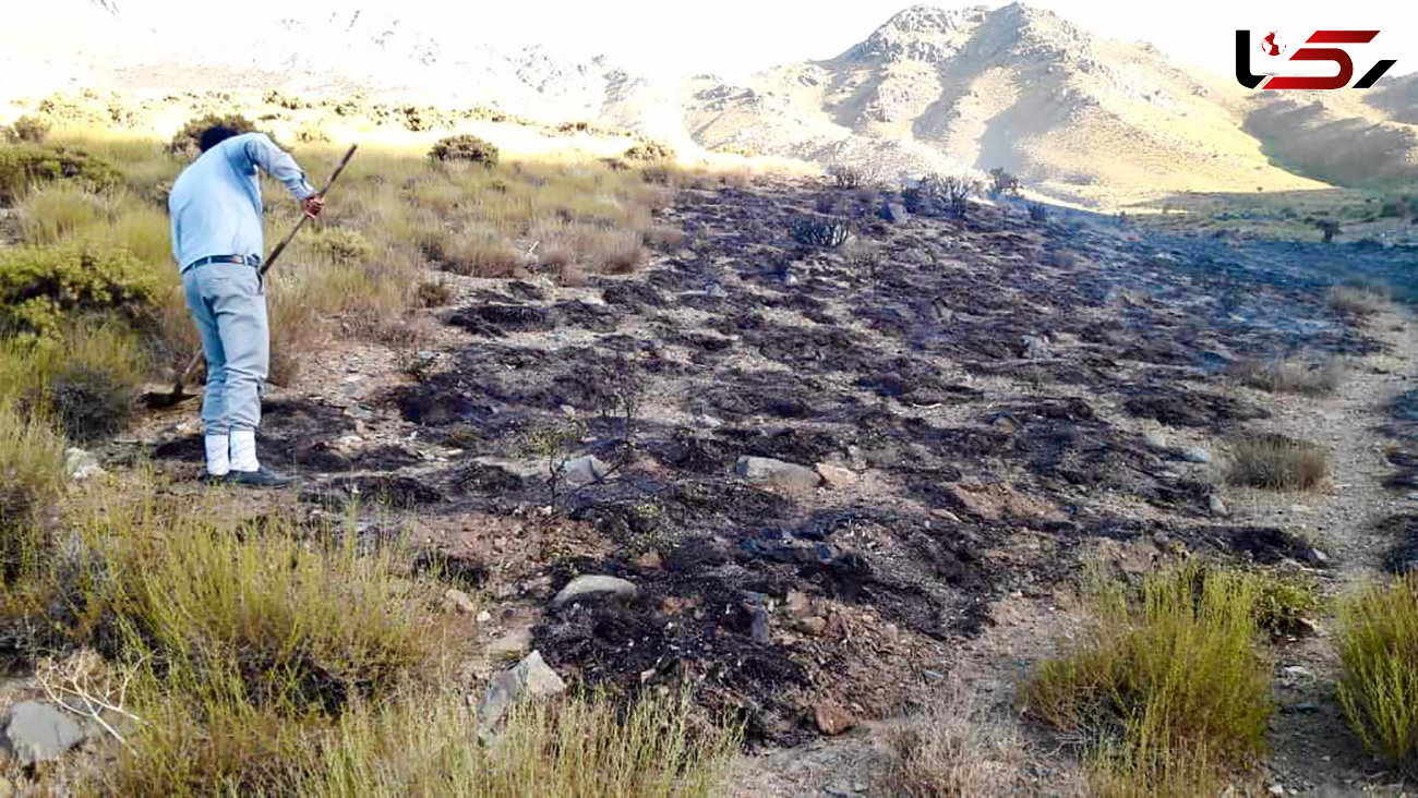 مهار آتش سوزی در مراتع سرچشمه رفسنجان