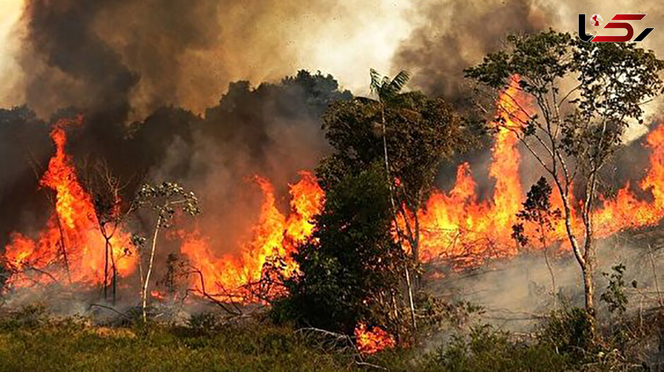 آتش سوزی منطقه حفاظت شده کوه جوپار