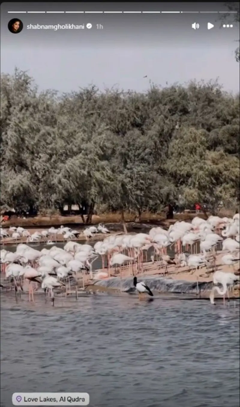 استوری شبنم قلی خانی