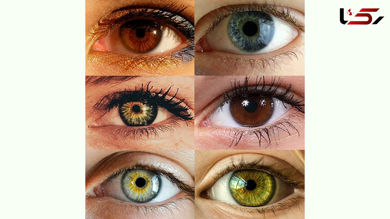 در دنیای رنگی چشمان مان چه می گذرد؟