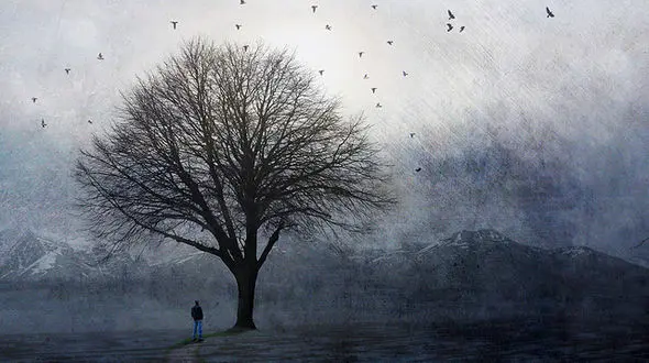 ماه پاره در را به روی هیچکس باز نمی کرد / پشت در چه راز شومی بود