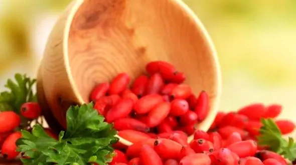 این نسخه گیاهی قاتل جوش است