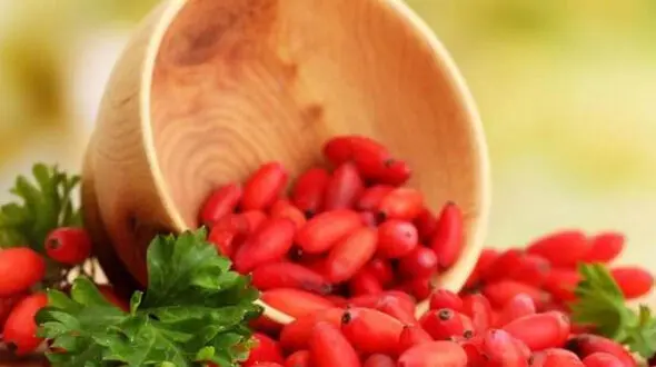 این نسخه گیاهی قاتل جوش است