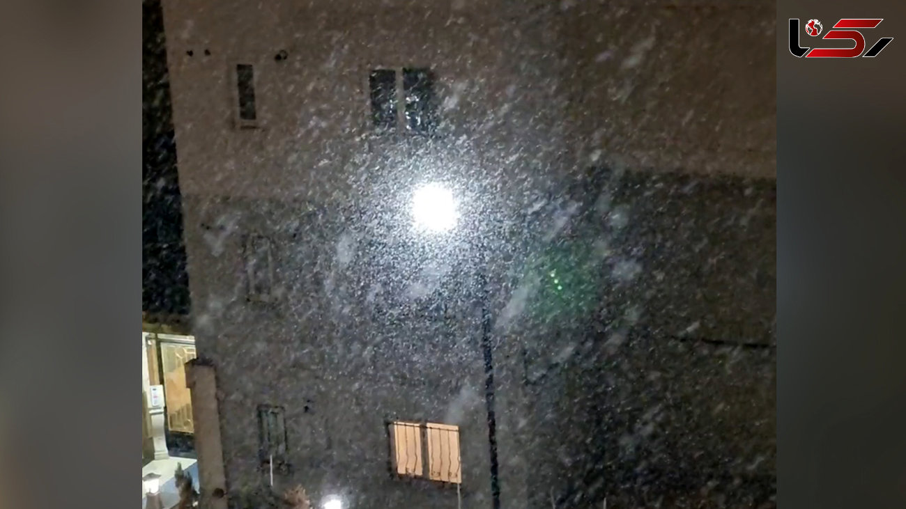 بارش پنبه ای و درشت برف در پردیس تهران + فیلم