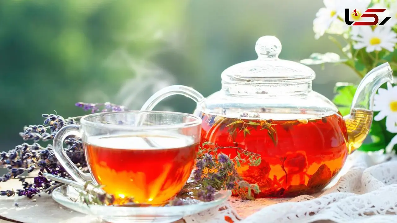 چطور چای مرغوب را شناسایی کنیم ؟ + 4 روش