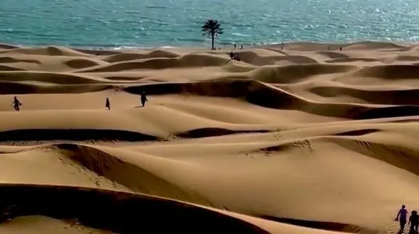 از ساحل درک تا دشت شیمبار