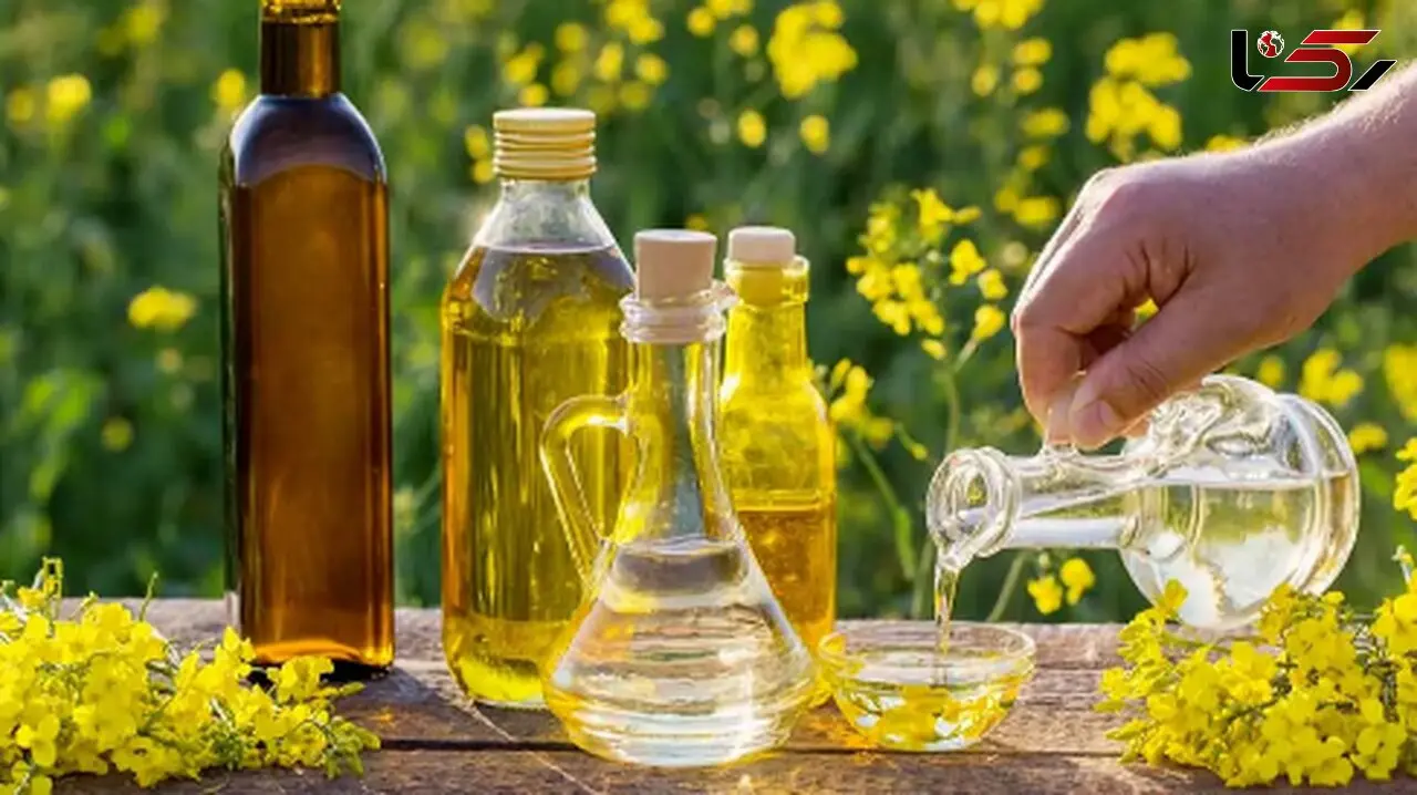 روغن کانولا: حقیقت‌ های تلخ پشت این روغن محبوب