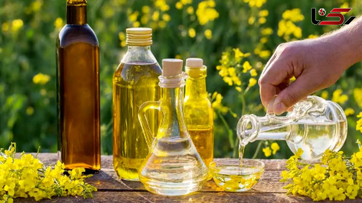  روغن کانولا: حقیقت‌ های تلخ پشت این روغن محبوب 