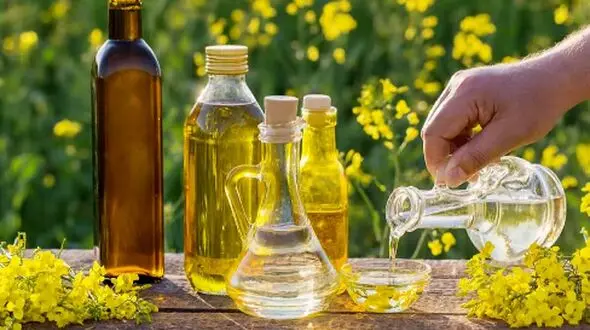روغن کانولا: حقیقت‌ های تلخ پشت این روغن محبوب