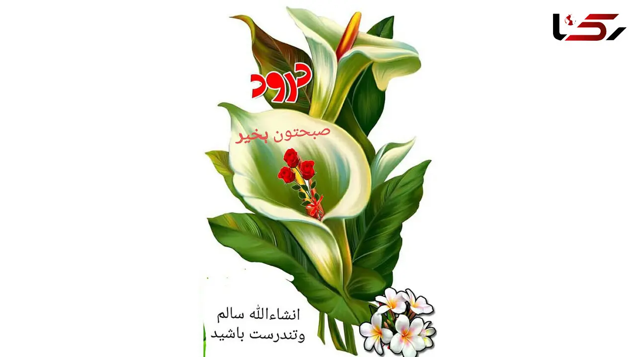 فال روزانه شخصی / 23 دی ماه + فیلم