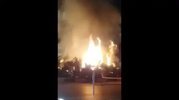 درختچه های بلوار ولیعصر آتش گرفت + فیلم