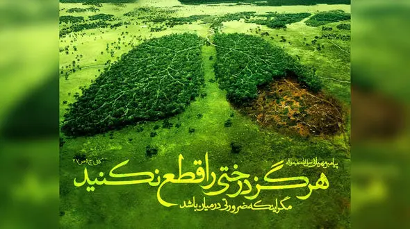 پیامک های تبریک برای روز درختکاری + فیلم