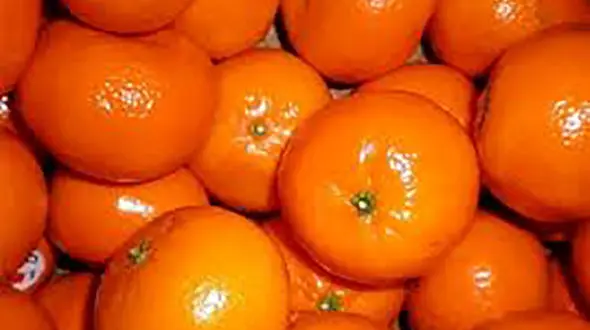 پشت پرده واردات نارنگی‌های سمی از پاکستان چیست؟ + سند