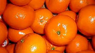 نارنگی به بازار آمد + قیمت