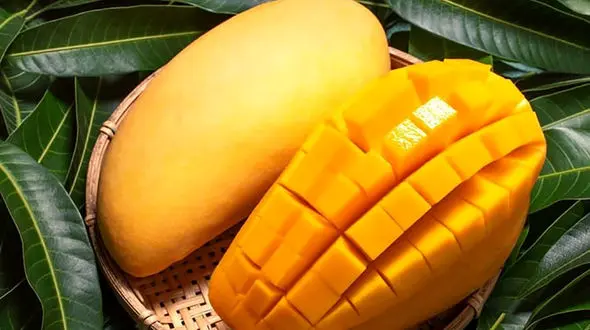 انبه قاتل دوست داشتنی!