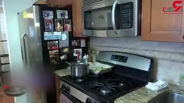 تزئین غذا با حشرات! + فیلم