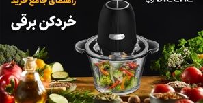 راهنمای جامع خرید خردکن برقی
