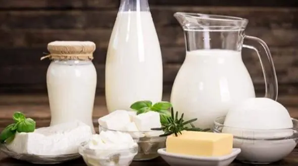 لبنیات و تخم مرغ محلی: سالم یا خطرناک؟ / راهنمای تغذیه کامل