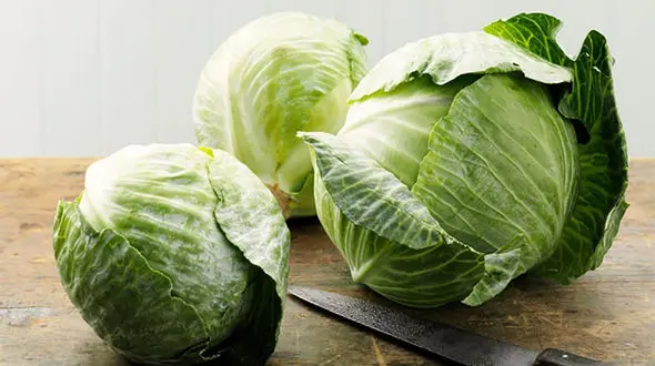 ویتامین U چیست؟ / فواید و کاربردها