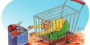 گوشت از سفره مردم پر کشید! / با میلیونی شدن گوشت، نفس خانوارها به شماره افتاد