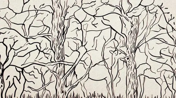 تست : در تصویر اولین حیوانی که می بینید چیست؟