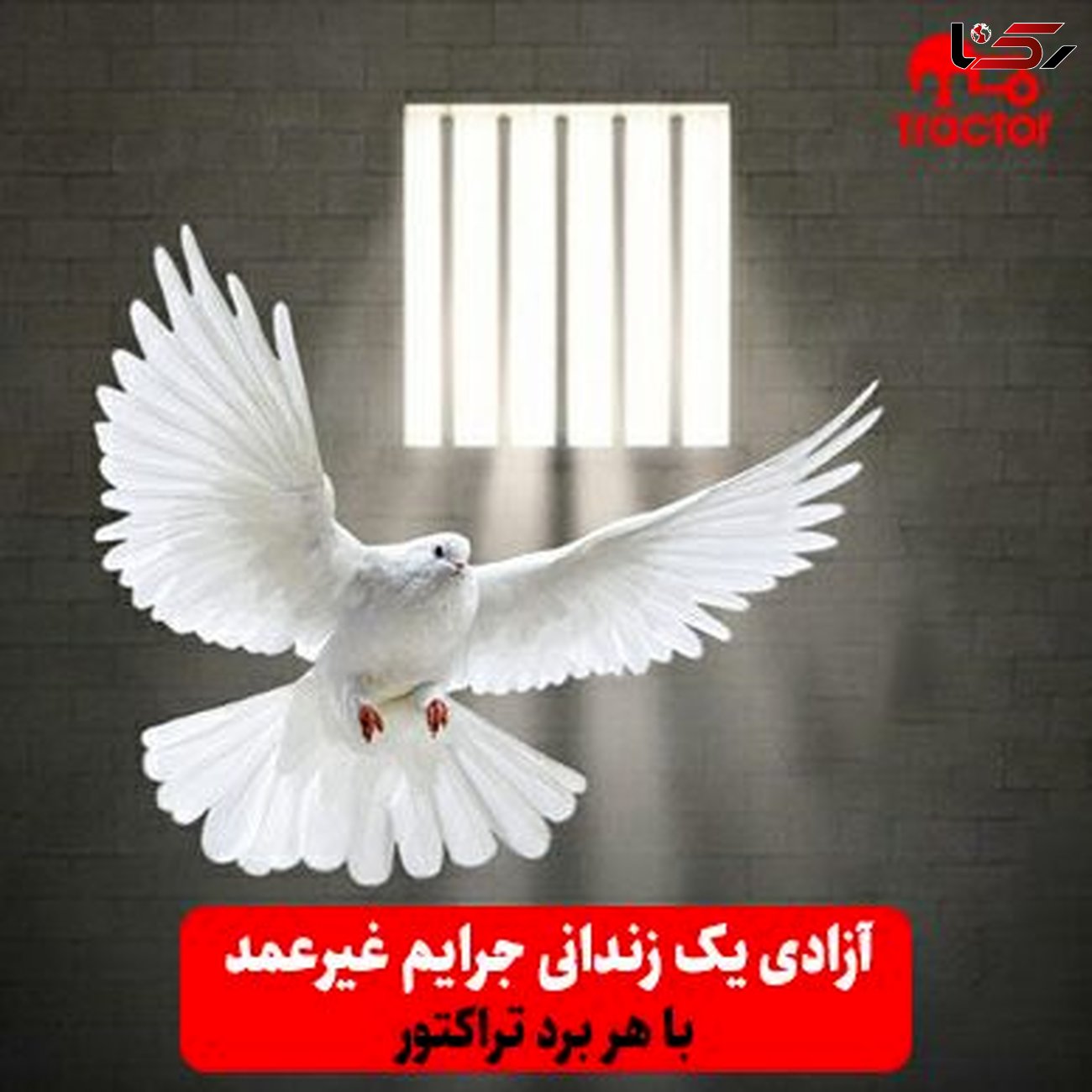 آزادی یک زندانی جرایم غیرعمد با هر برد تراکتور