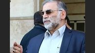 آژانس هسته ای ترور دانشمند ایرانی را محکوم کند