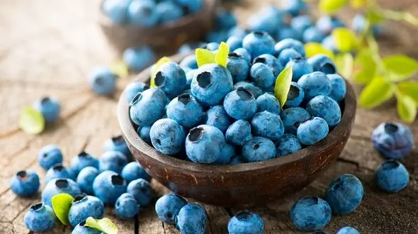 پیری را با این میوه به تاخیر بیندازید