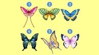تست شخصیت شناسی : زیباترین پروانه را انتخاب کنید !
