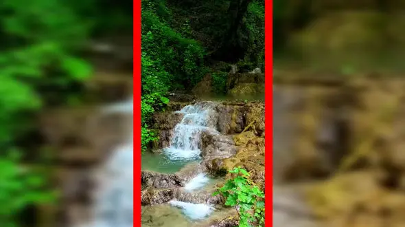 فیلم مناظر بکر و طبیعی جنگل لفور مازندران