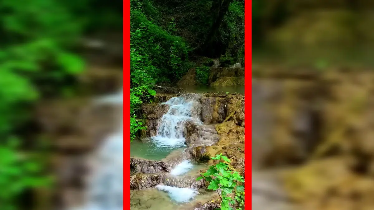 فیلم مناظر بکر و طبیعی جنگل لفور مازندران