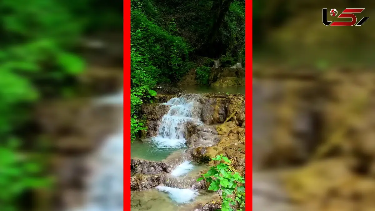 فیلم مناظر بکر و طبیعی جنگل لفور مازندران