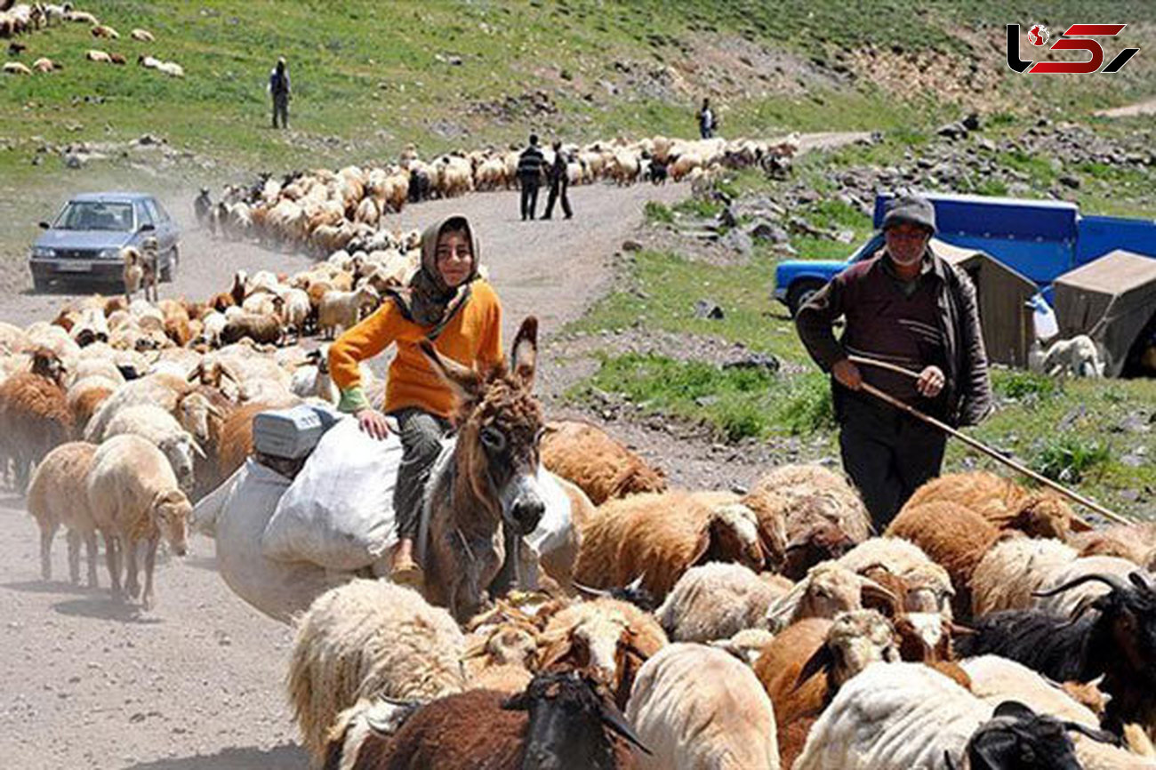 کوچ بهاره عشایر استان اردبیل از امروز آغاز می‌شود و تا ۱۱ روز دیگر ادامه خواهد داشت.