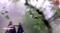 سقوط خلبان بهنام یوسفی روی درختان در مه + فیلم